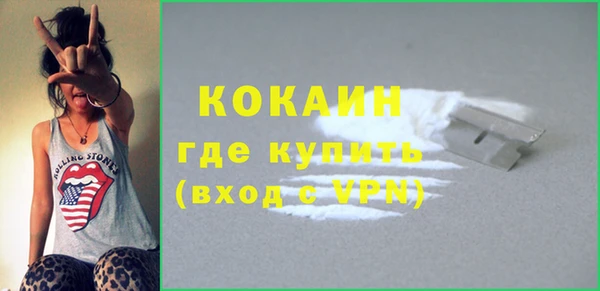дмт Няндома