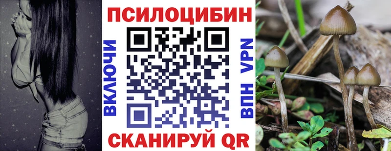 Галлюциногенные грибы прущие грибы  купить наркотики сайты  Никольск 